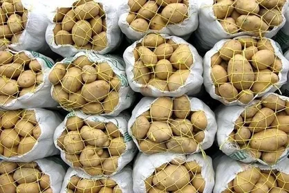 انبارهای احتکار سیب&zwnj;زمینی در شیراز شناسایی شد