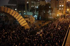 خفاش‌هایی که بیدار شدند!