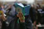 دبب