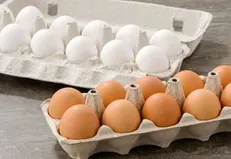 کاهش ۲۵۰ هزار تومانی قیمت تخم‌مرغ در البرز/ ایجاد بازار‌های محلی در کرج و شهرستان‌ها