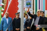 نجفی 