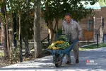 باغ وحش ارم سبز 