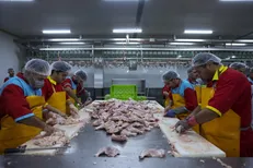 توزیع ۸۵۰ تُن گوشت و مرغ مازندران در تهران و استان‌های همجوار