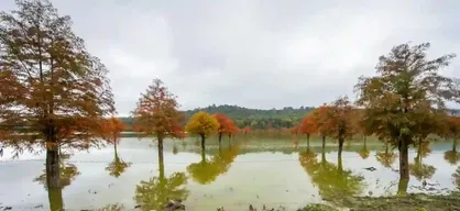 آسمان گیلان ابری و هوا مه&zwnj;آلود است