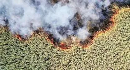 آتش&zwnj;سوزی تالاب دهنو بروجن مهار شد