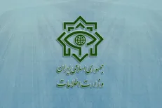 کشف محموله ریز پرنده و بی سیم در دو شهرستان پارسیان و قشم