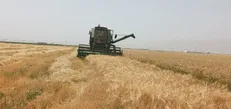 نماینده مردم کرج: صرفه جویی۵۵۰ میلیون دلاری دولت با یک تصمیم شجاعانه / امضا‌های طلایی حذف شد