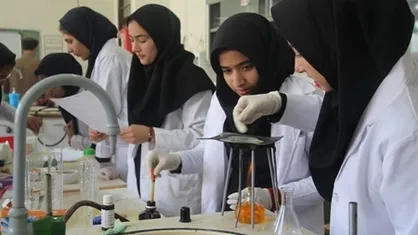 فعالیت ۲۷۰ پژوهش&zwnj;سرای دانش&zwnj;آموزی در حوزه گیاهان دارویی