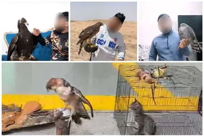 &laquo;دکتر عقاب&raquo; دستگیر شد