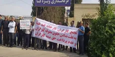 کارگران کارخانه قند فسا باز هم بیکار شدند / هر روز بدتر از دیروز!