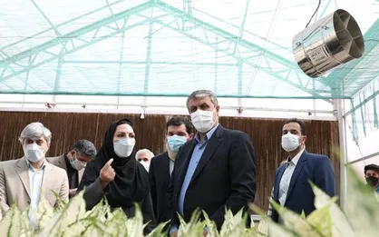 بازدید رئیس سازمان انرژی اتمی از بخش&zwnj;های مختلف سایت هسته&zwnj;ای کرج