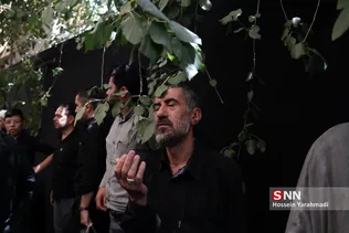 وحید1