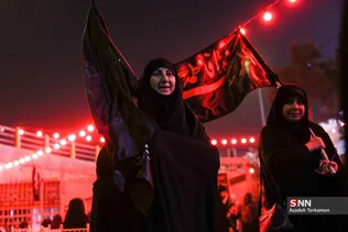 دبب