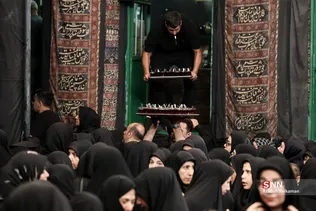 دبب