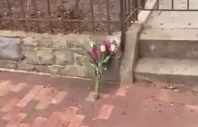 کنایه خبرنگار آمریکایی به وداع با سناتور جنگ‌طلب فقط با یک گل!