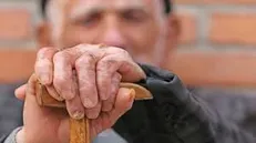 از سالمندان فعال در اجرای طرح «اگه از من می‌شنوی» تقدیر شد