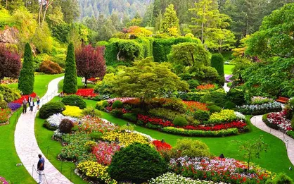 کارآفرینی در مهندسی فضای سبز، ممکن یا غیرممکن؟