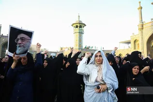 دبب