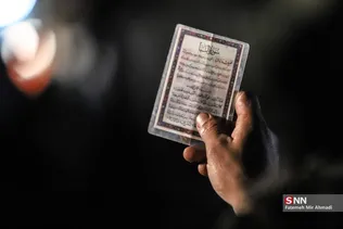 دبب