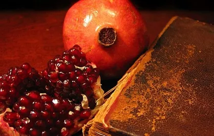 ویژه برنامه شبکه جام جم برای ایرانیان خارج از کشور