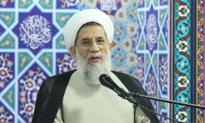 حجت‌الاسلام محمدحسنی: بیداری امت اسلامی شتاب خواهد گرفت