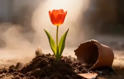 لاله می&zwnj;روید...