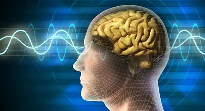کمک به رفع مشکلات سلامت با استفاده از دانش علوم اعصاب