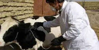 حرکت قطار دامپزشکی ایران در ریل استاندارد&zwnj;های جهانی
