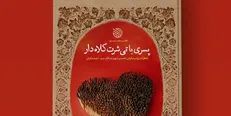 «پسری با تیشرت کلاه‌دار» به چاپ دوم رسید