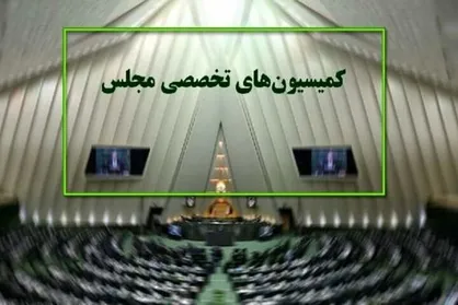 جزئیات ترور قضات دیوان عالی کشور هفته آینده در مجلس بررسی می&zwnj;شود