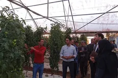 دانشگاه آزاد اصفهان به فناوری تولید بذر هیبرید دست یافت