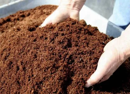 طرح تحقیقاتی تولید کود ورمی کمپوست در دانشگاه آزاد رودان اجرا مى&zwnj;شود