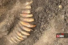 کشف گردنبند ۵۰۰۰ساله از جنس دندان
