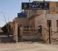 هشت عضو هیئت علمی دانشگاه مراغه در بین ۲ درصد دانشمندان برتر جهان