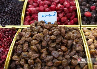 yalda