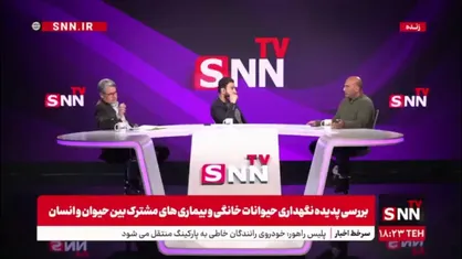 یارانه پنهانی که خرج سگ های خانگی می&zwnj;شوند