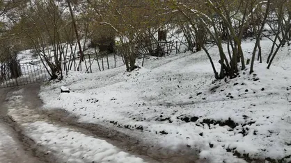 شدت برف و باران در گیلان؛ ارتفاعات سفیدپوش شدند
