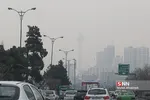 ثصفل