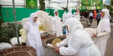 خدمت رسانی موکب‌های دانشجویی مشهد به زائران امام رضا (ع) 