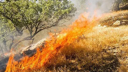 ۱۸۰ هکتار از جنگل&zwnj;ها و مراتع کهگیلویه وبویراحمد در آتش سوخت
