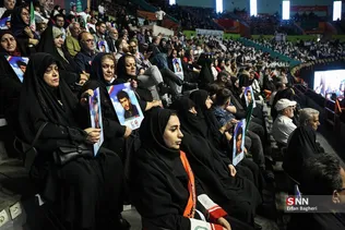 دبب