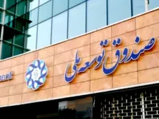پمپاژ پول از صندوق توسعه ملی برای کمک به دولت!