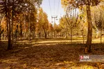 پاییز