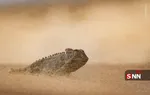حخج