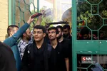 شریف