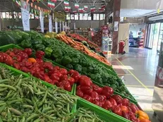 قیمت انواع سبزیجات در میادین و بازار‌های میوه و تره بار اعلام شد