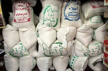 نبود زنجیره تأمین شفاف، بازار برنج را به دلالان سپرد
