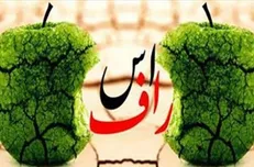 بودجه‌‌های الکی، خرج‌های یواشکی!/ چه اتفاقی برای بودجه‌ دانشگاه‌ها افتاده؟