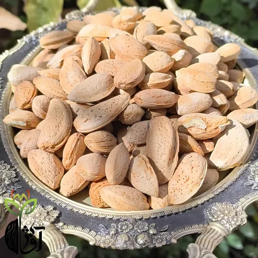 سومین جشنواره ملی بادام در چهارمحال و بختیاری برگزار شد / از مشکلات تولیدکنندگان بادام تا پاسخ مسئولان + فیلم