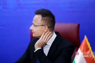 سیلذ